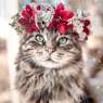 animal-flower-crowns-freyas-floral-company-leomainecoon-1-5c9def191b3bb__700