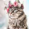 animal-flower-crowns-freyas-floral-company-leomainecoon-2-5c9def1b866b8__700