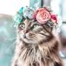 animal-flower-crowns-freyas-floral-company-leomainecoon-4-5c9def1fc5955__700
