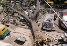 Најмалку 10 лица загинаа во бура во Индија