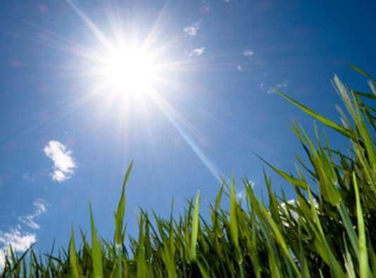 Сончево со мала локална облачност