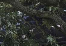 Заменик градоначалник загина во невреме во Полска