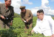 Компирите се поважни од Помпео за Ким Јонг-ун?