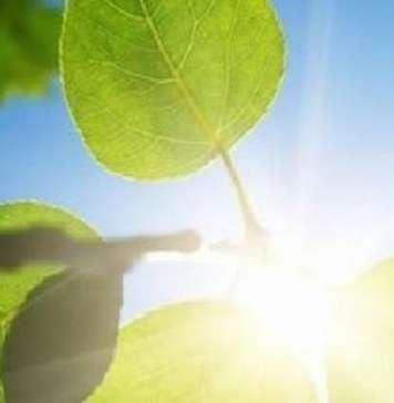 Сончево време со температура до 23 степени