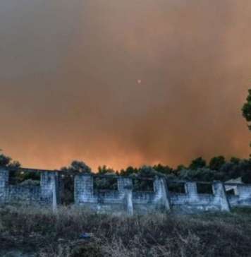 Пожарот на Евија ставен под контрола