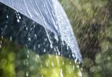 Локален пороен дожд и грмежи од утре попладне