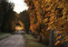 Променливо облачно и ветровито