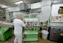 Просечниот работен век во Македонија е 32 години