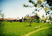 Земјоделците до крајот на годинава можат да поднесат барања за легализација на фармите