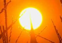 ВМО: До крајот на овој век нѐ очекуваат многу високи температури