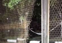 Чувари пуштиле затвореници на молитва, 113 избегале