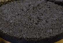 Во Москва запленети 900 килограми црн кавијар