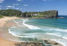 Поради огромен број медузи се затвораат плажи во Австралија