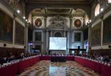 Венецијанската комисија официјално објави дека е побарано мислење за законот за употребата на јазиците