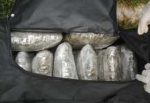 Одреден притвор за дилер од Стојаково