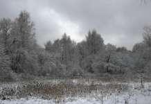 Облачно, попладне на западот на земјата со дожд