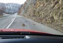 Одрони на патот Делчево – Македонска Каменица