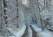 Облачно со повремени врнежи од снег