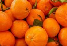 АХВ: Во Mакедонија нема од мандарините со пестициди од Турција