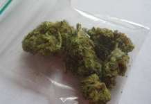 Притвор за три лица поради поседување марихуана