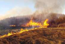 Се реактивира пожарот на Туинска планина