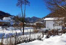 Снегот и дождот спас од шумските пожари