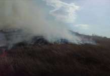 Противпожарни екипи и авиони ги гасат пожарите во северниот дел на Кичево