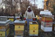 Производството на мед може да биде голем извозен адут на земјава
