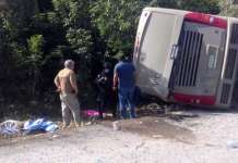 Се преврте автобус во Мексико, меѓу загинатите има деца