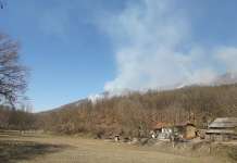 Локализиран пожарот во близина на фабриката „Сувенир“ и село Ковче