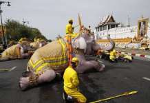 Слонови клечеа во чест на новокрунисаниот крал на Тајланд