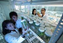 Страв од кинеска шпионажа го тресе американското здравство