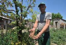 Стариот систем за заштита од град не функционира, нов ни на повидок