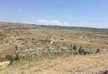 „Одлучен удар“ ги тестира можностите во пресрет на членството во НАТО