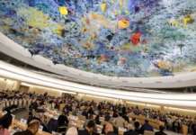 Во Женева усвоен извештајот за состојбата со човековите права во земјава