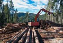 За тоалетна хартија дневно се сечат 27.000 стебла