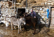 Со еко-туризам до повеќе туристи низ македонските села