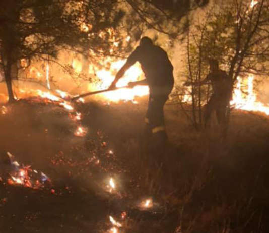 Ќе се пошумуваат опожарените подрачја во Велешко