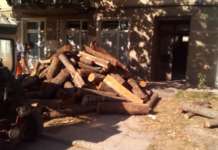 Сечачите и цепачите на дрва ја почнаа сезонава со нови тарифи