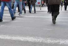 Невидливите зебри опасни за сообраќајот