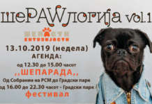 Прва парада за миленичиња во Скопје