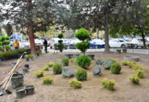 ТЦ „Лептокарија“ ќе добие нови украсни растенија