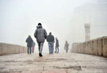 Магла сегде околу нас