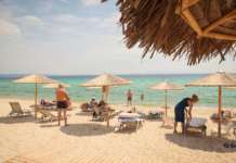 Додека зимуваат, бараат место за летен одмор