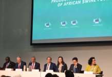 Прогресивното ширење на африканската чума кај свињите сериозна закана за безбедноста на храната