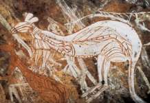 Благодарение на пчелите, утврдена староста на цртежите на Абориџините