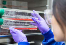 Научници тврдат дека откриле универзален лек за ракот