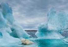 Светските лидери да донесат нов договор за природата