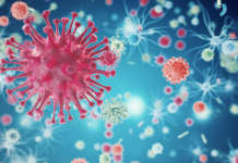 Втор човек во светот излекуван од ХИВ