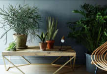 Домување – Фенгшуи-предмети за позитивна енергија во домот